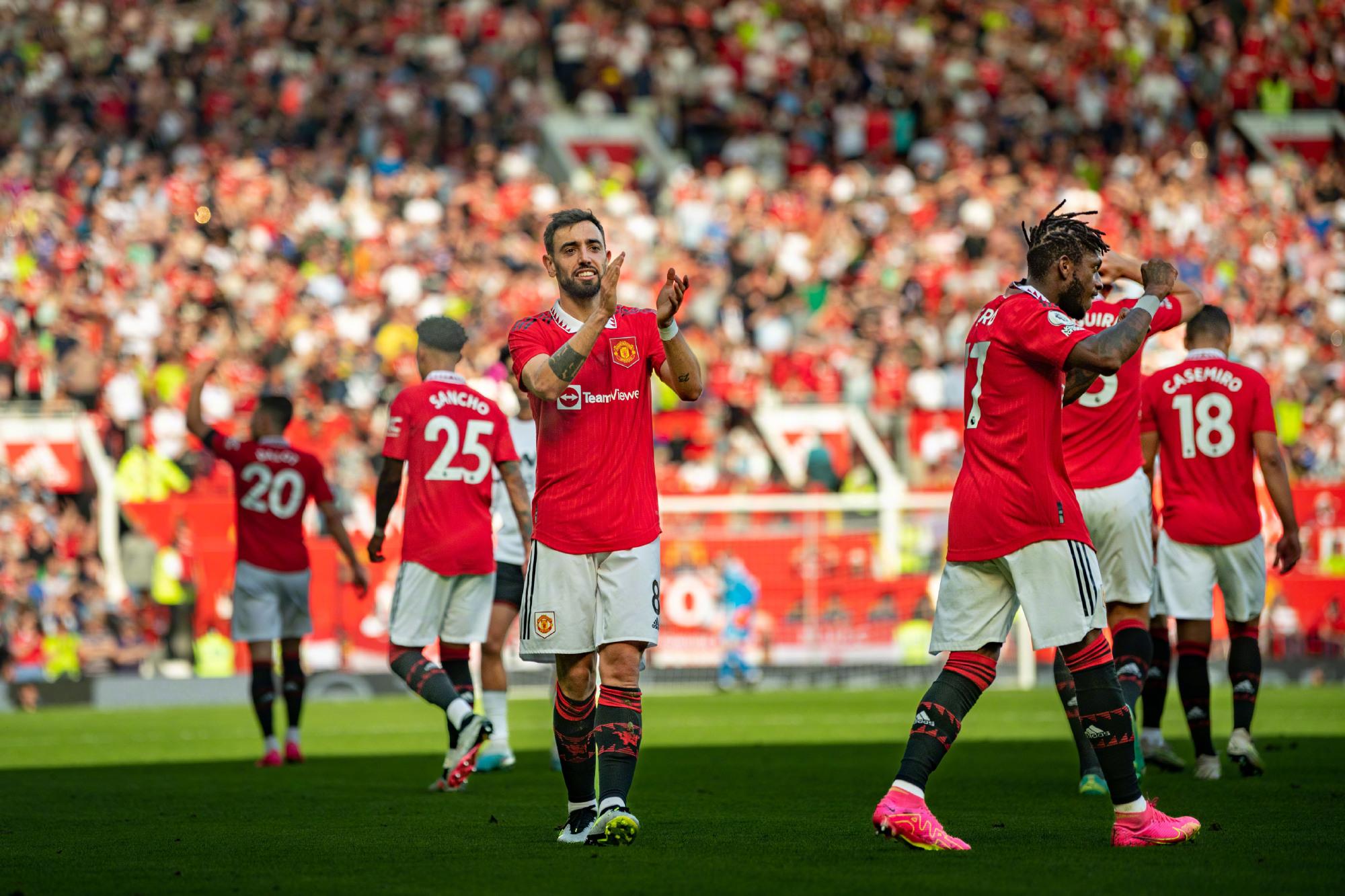 体育居家健 体育居家健