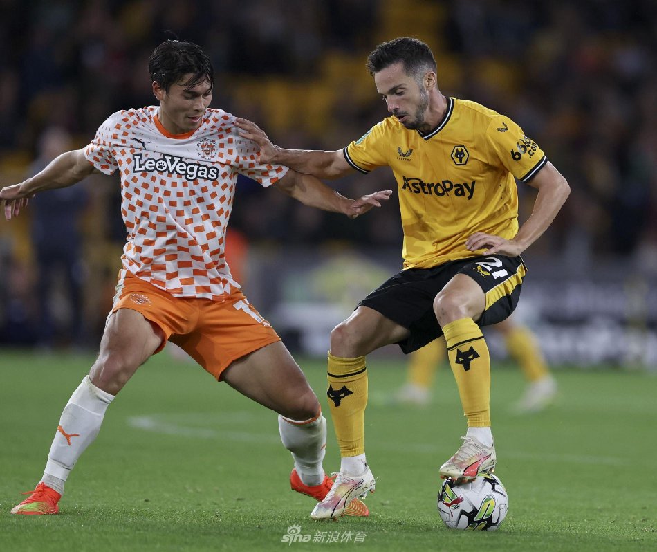 逐步提升 逐步提升